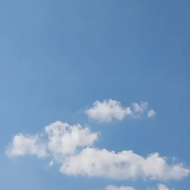 Profile image of 잠뜰