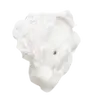 Profile image of A