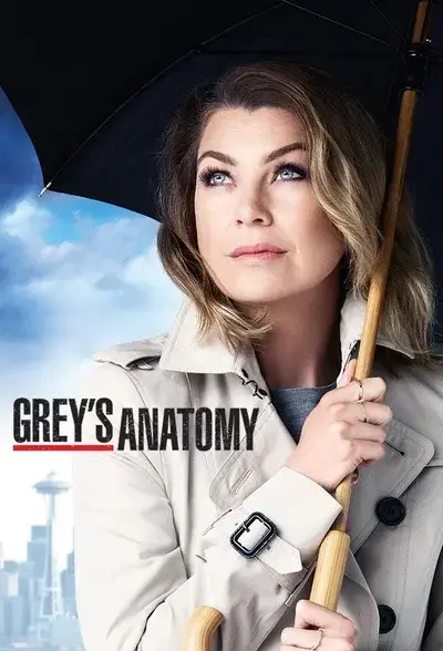 StubbyGate5796의 Greys Anatomy -NYLA