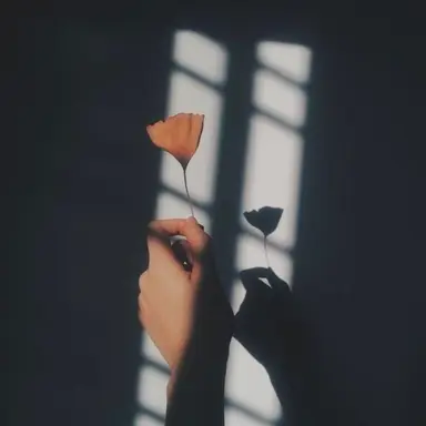 Profile image of 코마