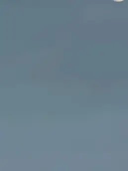 Sapurimento__1의 〖  愛を伝えるのが 不器用なだけ。 〗