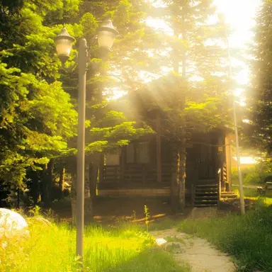 Profile image of 한태진