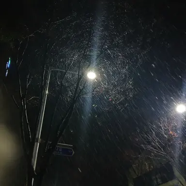 Profile image of 레몬 어빈