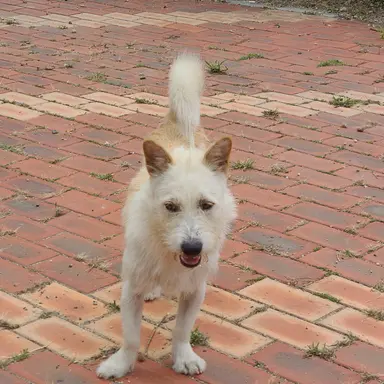 Profile image of 유저 -강아지아님-