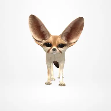 Profile image of 여우