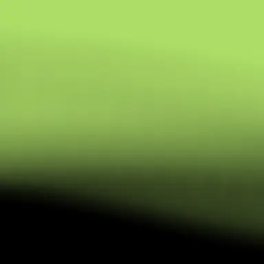 Profile image of 릴리