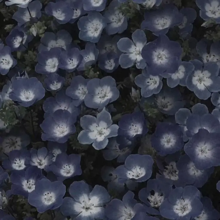 Teruterubozu의 나는 내가 할 수 있는 걸 한다.