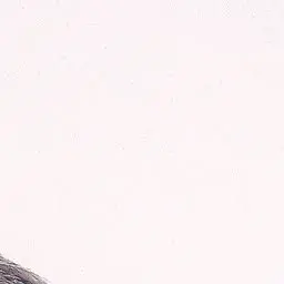 Profile image of 엄성현