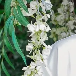 Lluwu_11의 신광일