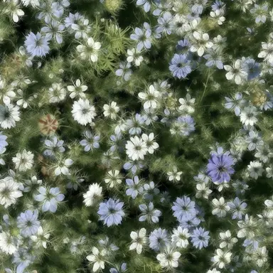 Profile image of 최우재