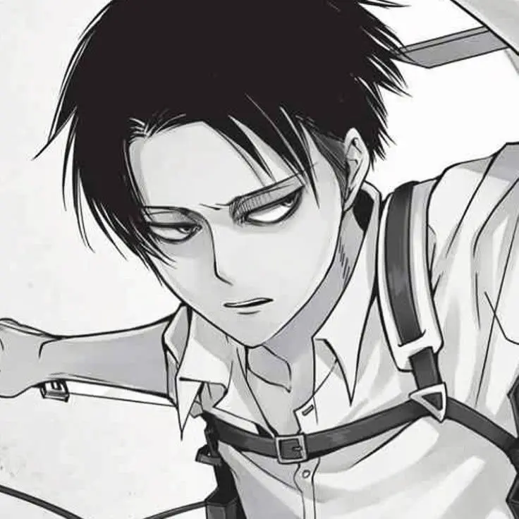 kknmgx의 리바이 아커만