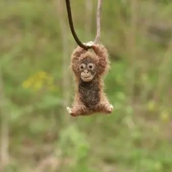 Profile image of 여우