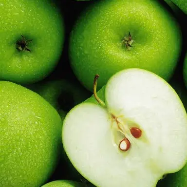 Profile image of 大森元貴