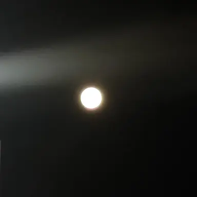 Profile image of ゴンホ