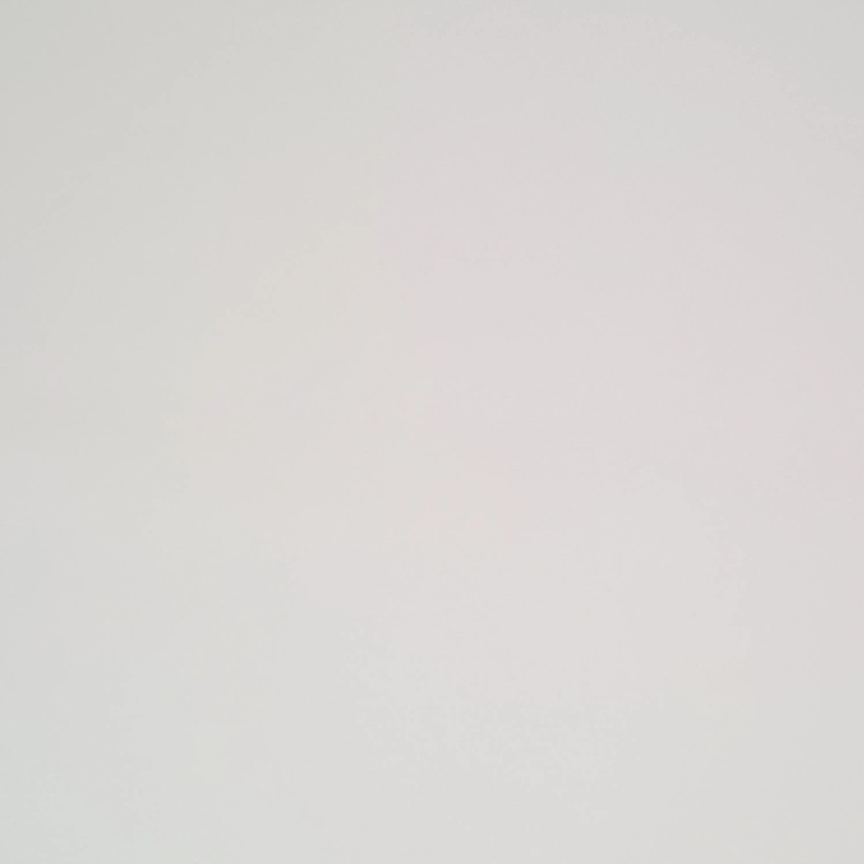 StrictMoose9238의 남녀무리
