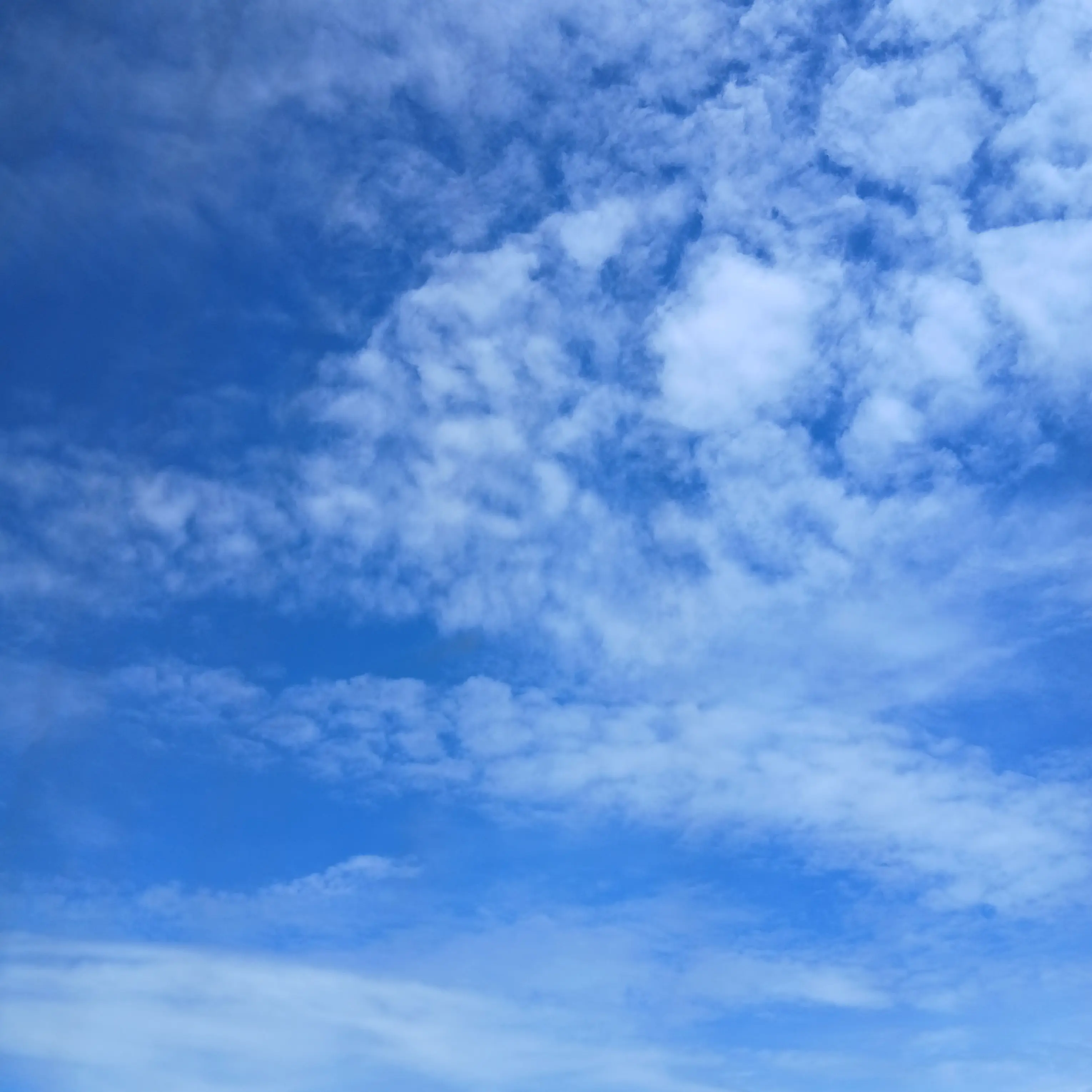 TrendyQuest2379의 팀나빠 할로윈