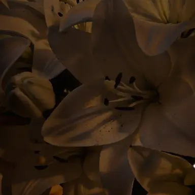 Profile image of 永見大吾