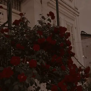 Profile image of 米津玄師