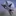 F-22 Raptor 