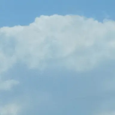 Profile image of 소멸