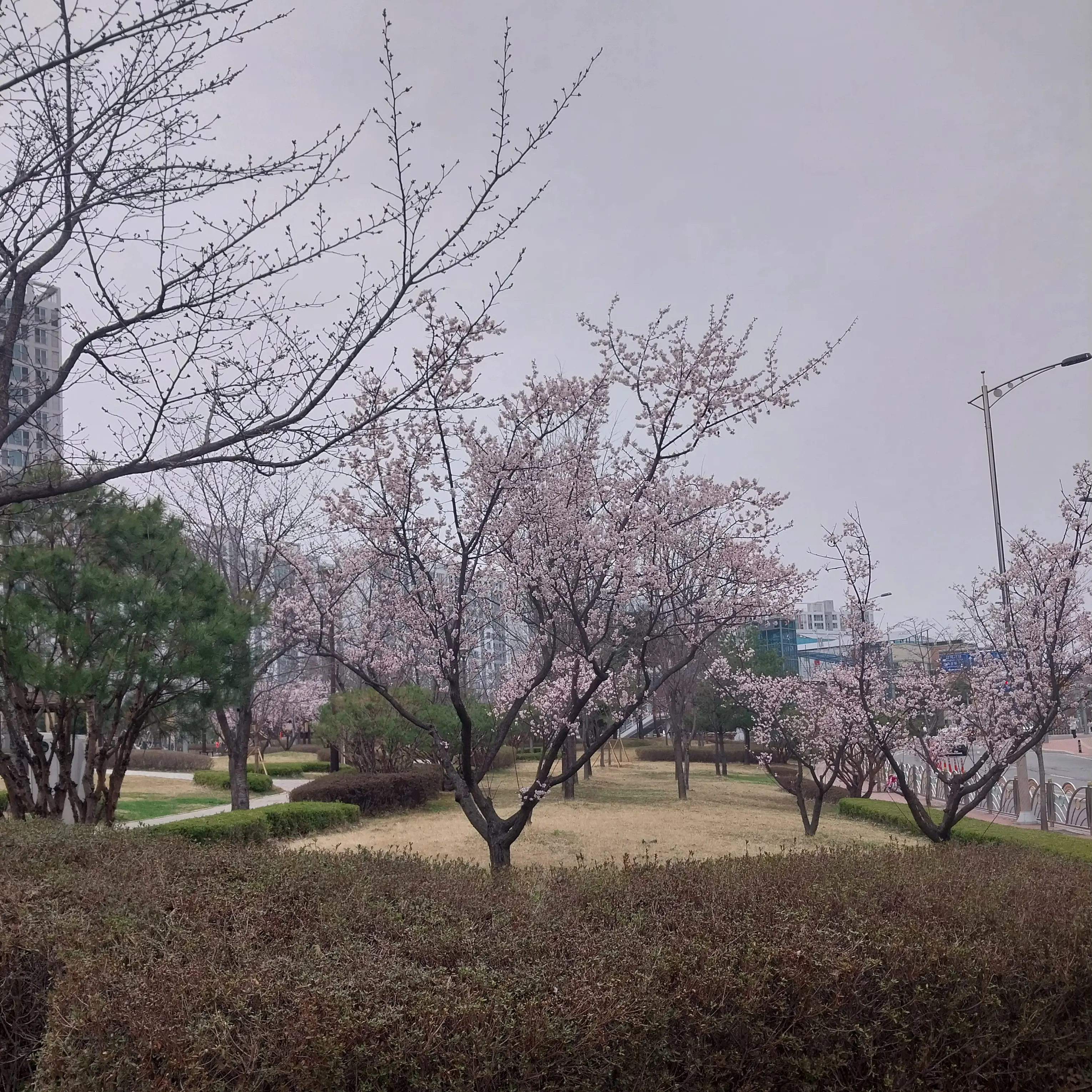 SinfulHost8238의 평택 운수