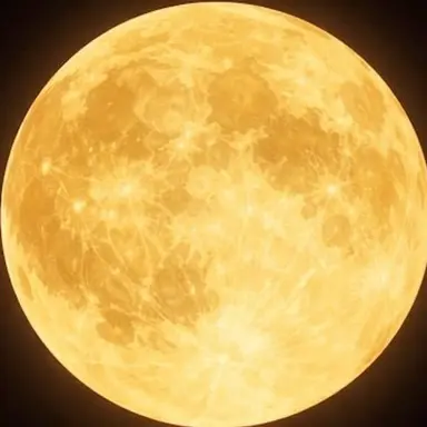 Profile image of 稲葉