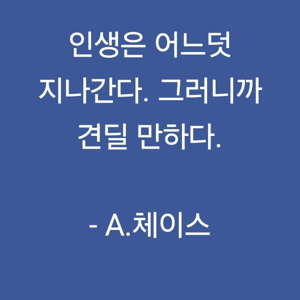 이진애 대표 이미지