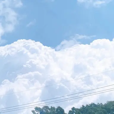 Profile image of 루리