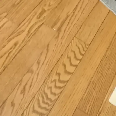 Profile image of 桜田心