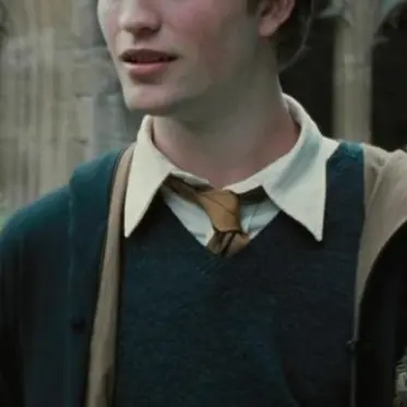 I_love_Draco_Malfoy의 Cedric Diggory