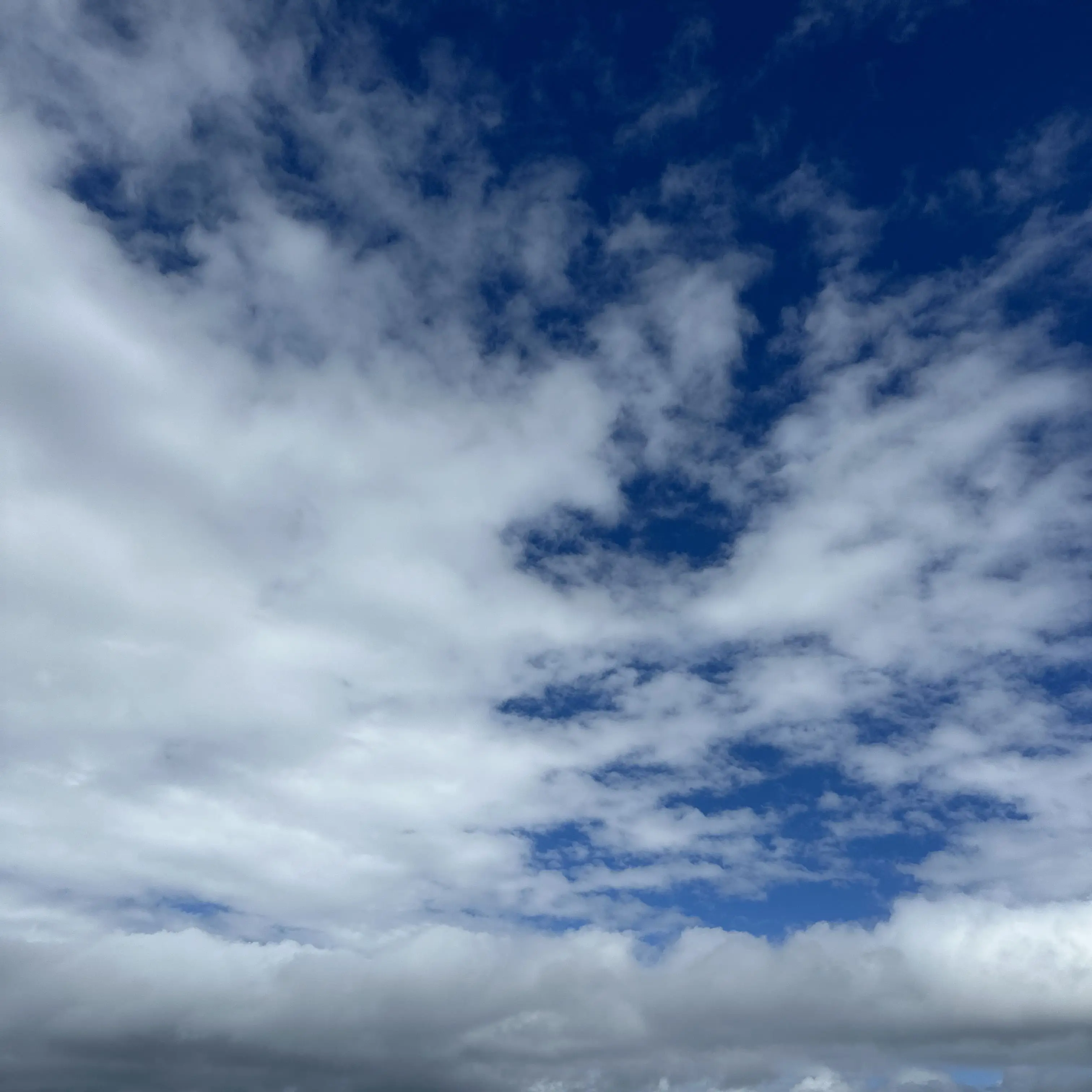 DrunkZebra1716의 다른 사람이 날 조종할 수 있다면?!