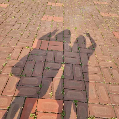 Profile image of 계급학교