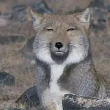 Profile image of 여우