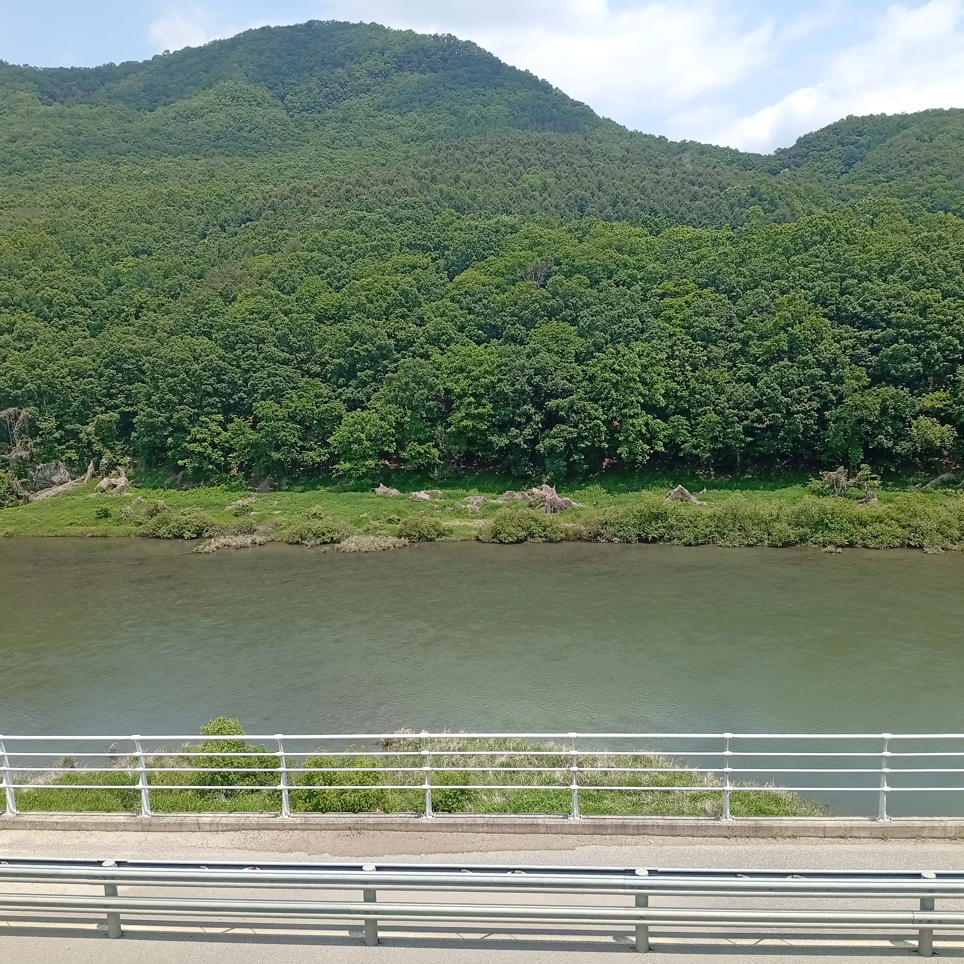 료미