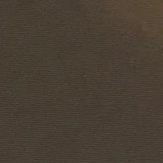 Profile image of アメリカ