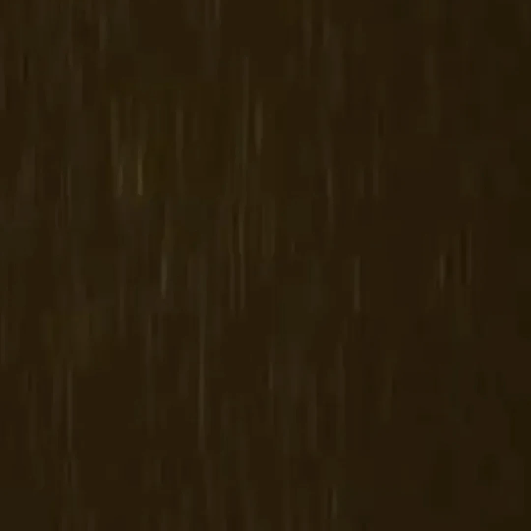 Doors rooms 큐리어스 라이트 (back door 없음)
