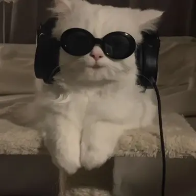Profile image of よしのり