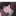 재하