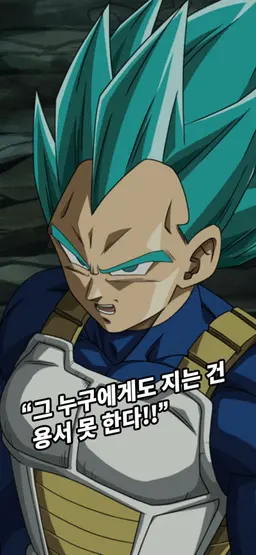 Profile image of 베지터
