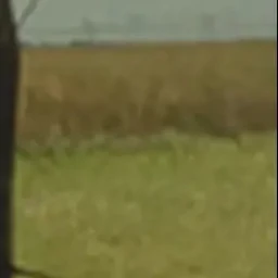 タケシ
