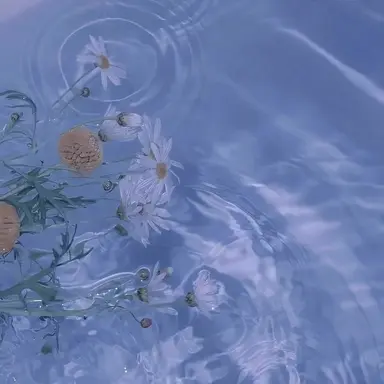 Profile image of 박잠뜰