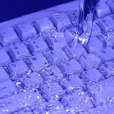 Profile image of 황수현