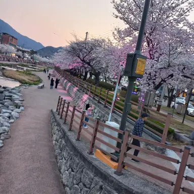 Profile image of 마피오소