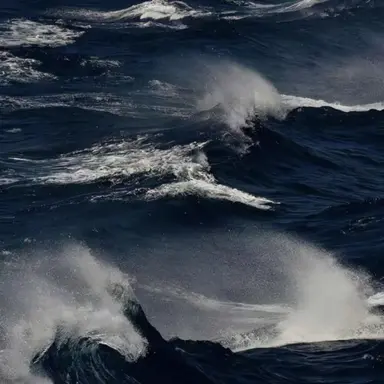 Profile image of 카시어스