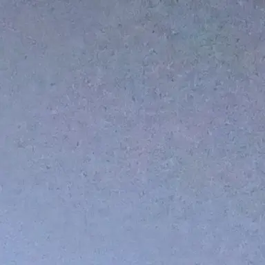 Profile image of 김승민