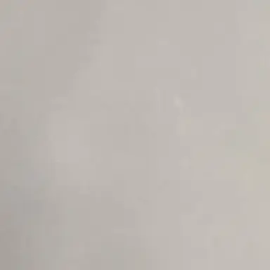 Profile image of 양정인