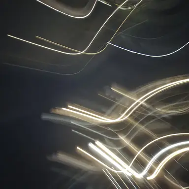 Profile image of 유기사