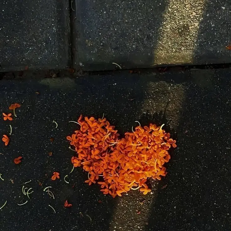 sugar.on.my.bigbang의 옆학교