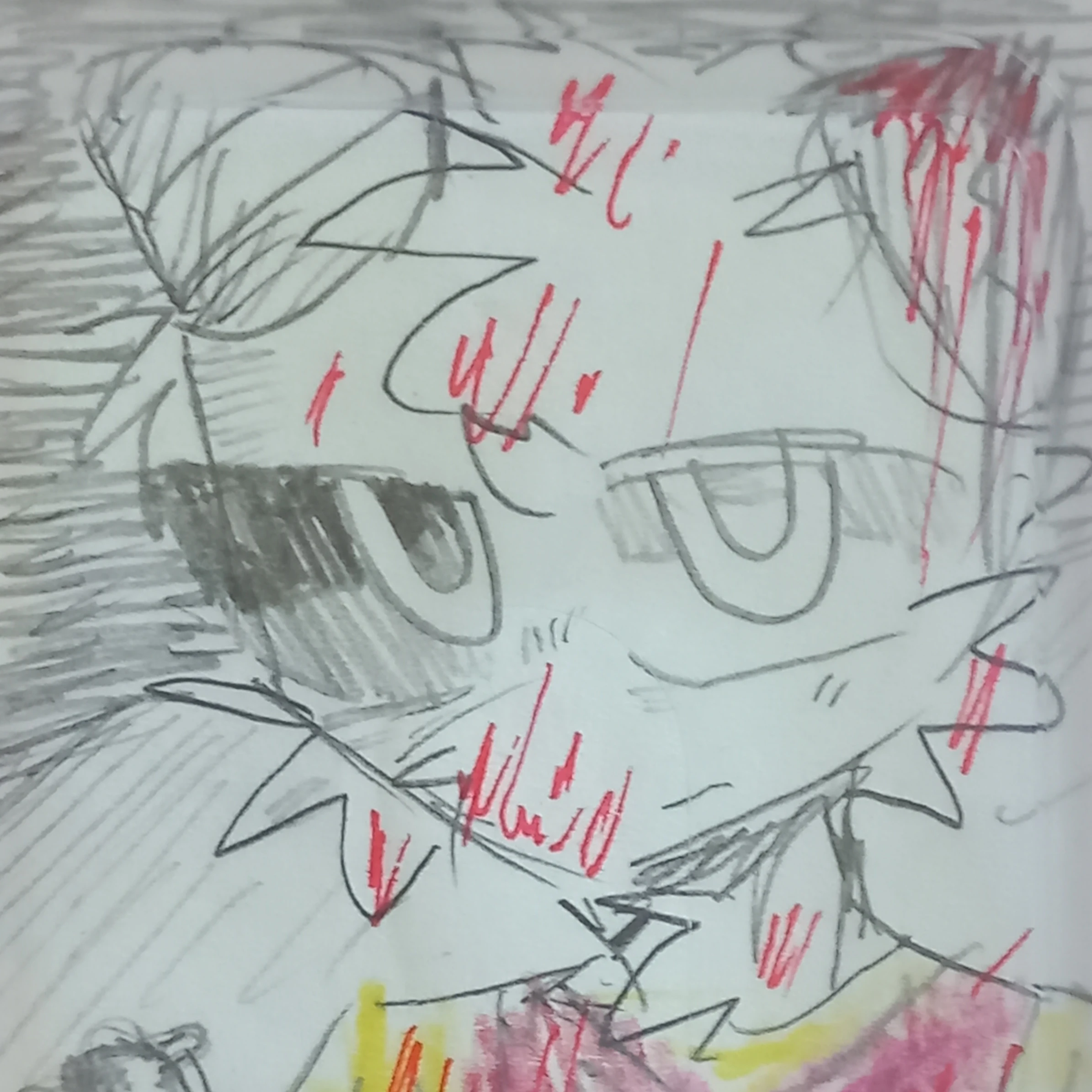 Sheet
