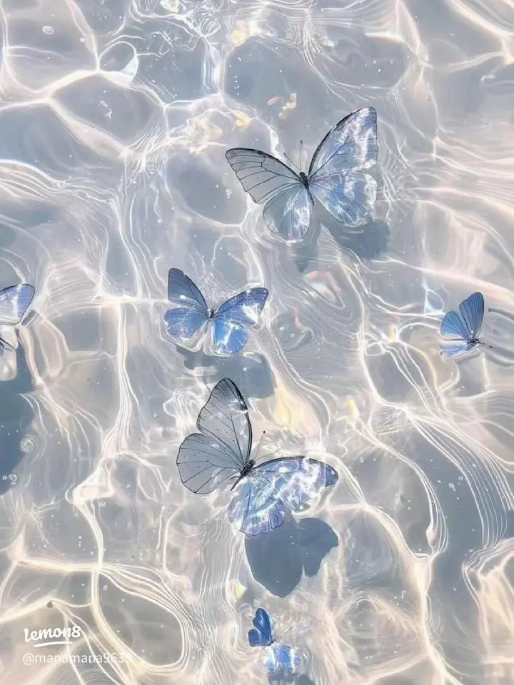 Rei919의 幻の第七属性…？